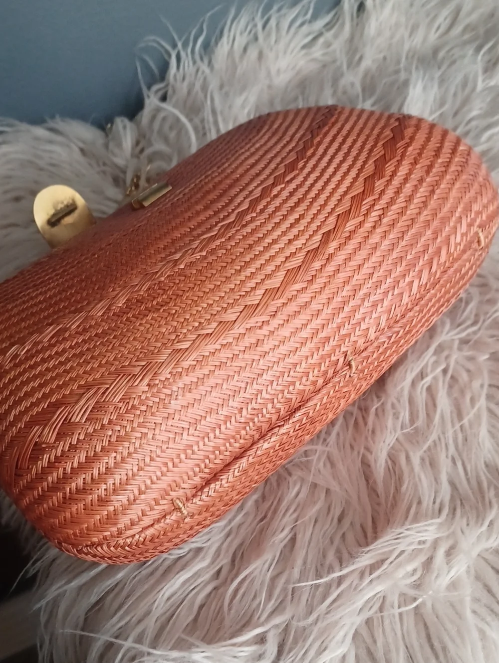 Vintage Cute Crossbody / Clutch